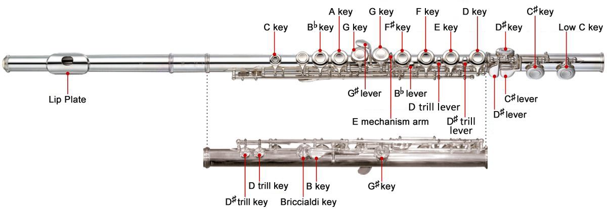 Keys and parts of the flute